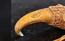 منوعات ـ كنز عمره 1400 عام .. صدفة