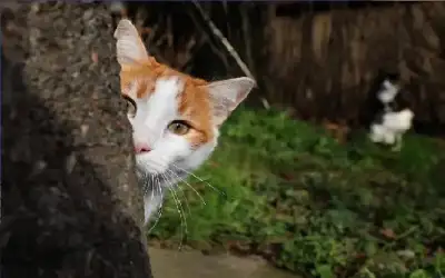 صحة ـ دراسة صادمة تحذرك.. ماذا يعني وجود