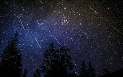 ما الذي يبحث عنه الانسان في