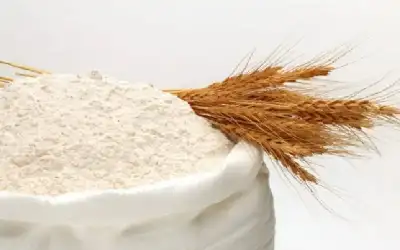 مجتمع ـ الحكومة تخفض أسعار الطحين والقمح رغم