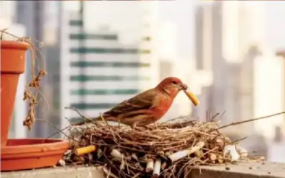 هل يقلص تدريب الدماغ شيخوخته 10