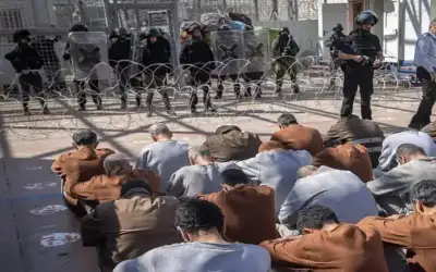 وزارة الزراعة: الموسم المطري إيجابي للقطاع