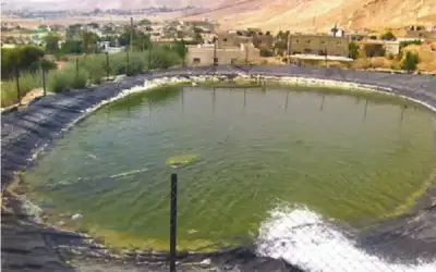 عملة عراقية تحمل صورة صدام حسين