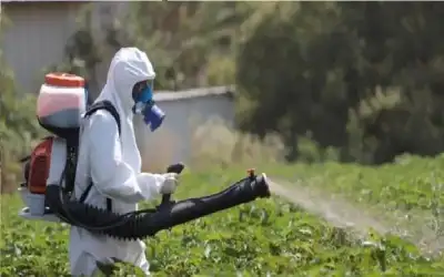 أسعار الذهب تسجل أسعارا قياسية جديدة