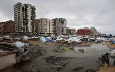 نباتات تتحدث.. جهاز ذكاء اصطناعي يمنح