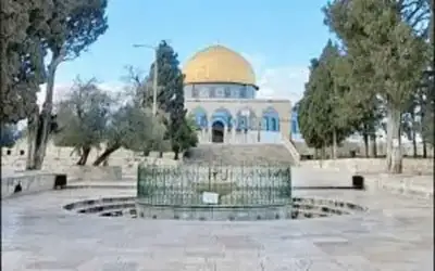 البحر المتوسط.. صحراء شاسعة تحوي 50