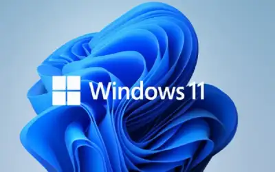 تعرف على شروط تأجيل “خدمة العلم”