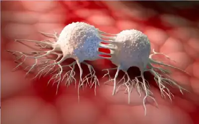 علمنا عال فعاليات وطنية في مركز