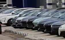 مال ـ إدارة الترخيص: بدء تجديد رخص المركبات