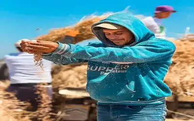 الأردن ـ من الأرض إلى السيادة الغذائية: مبادرة
