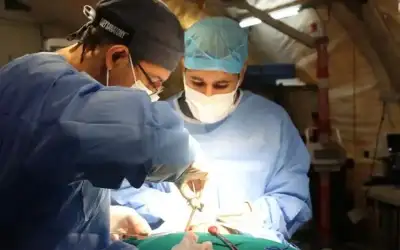 دواء ياباني يساعد على نمو الأسنان