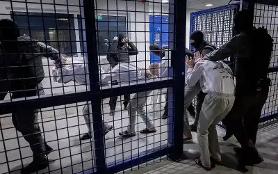وزارة الخارجية توضح حقيقة تعيين نجل